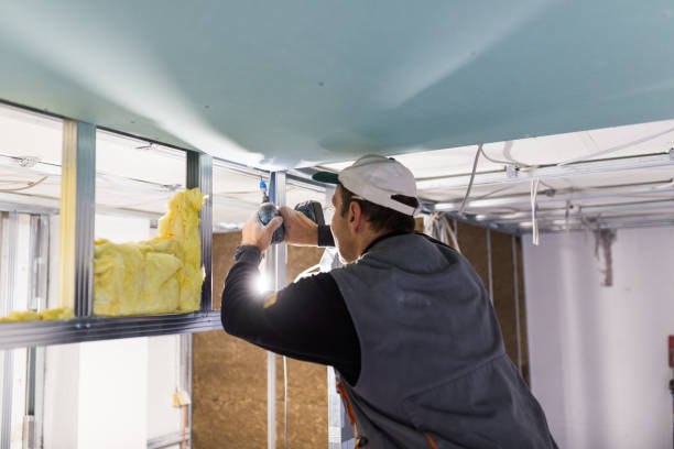 Best Commercial Insulation in Herculaneum, MO