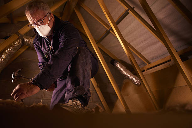 Types of Insulation We Offer in Herculaneum, MO